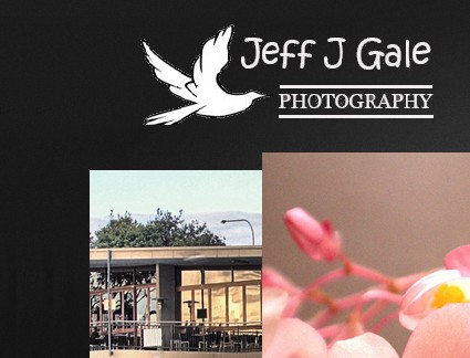jeffjgale Photography